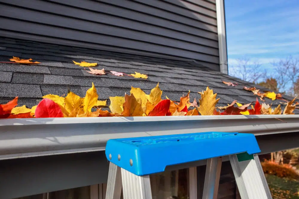 Gouttières toitures remplies des feuilles d’érables